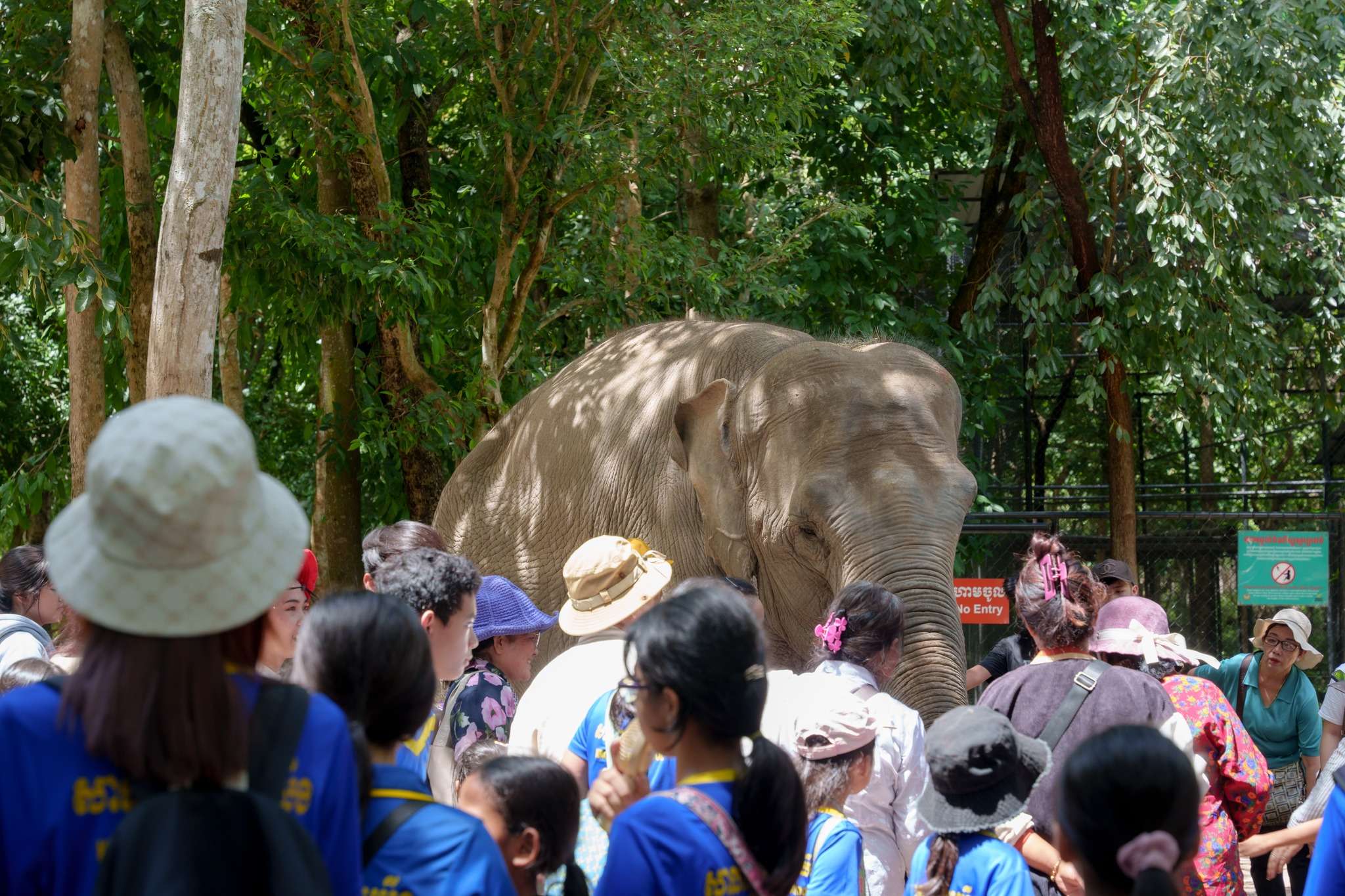 Krou Yeung School Phnom Penh students and teachers participating in a nature-based field trip with guided learning and observation activities