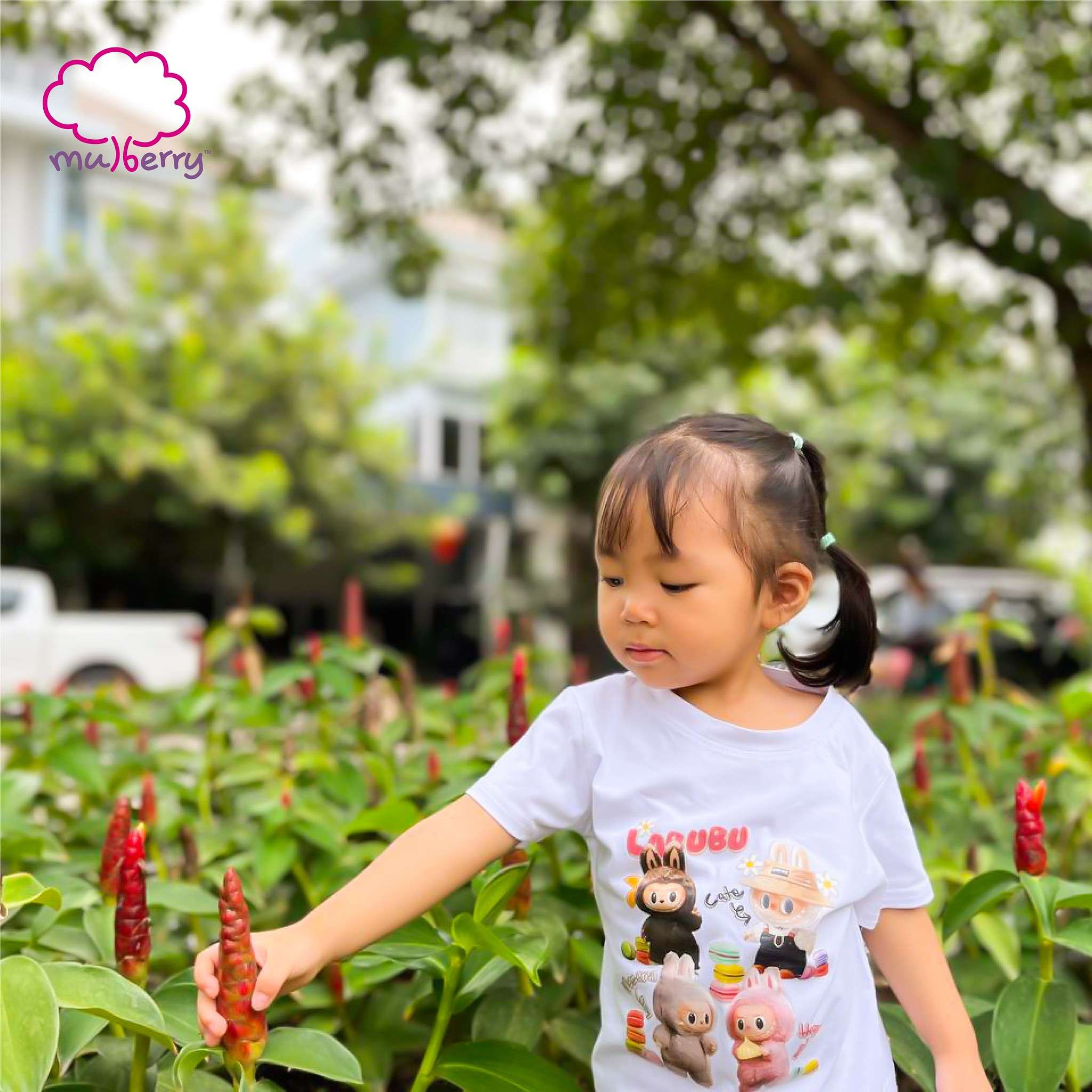 Children exploring plants at Mulberry International Preschool Phnom Penh